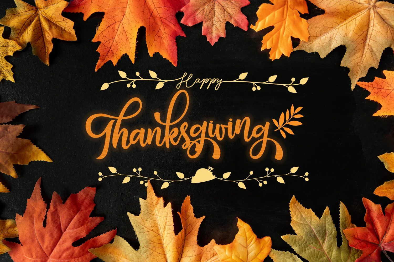 Thanksgiving-style dinner at Plattduetsche Park